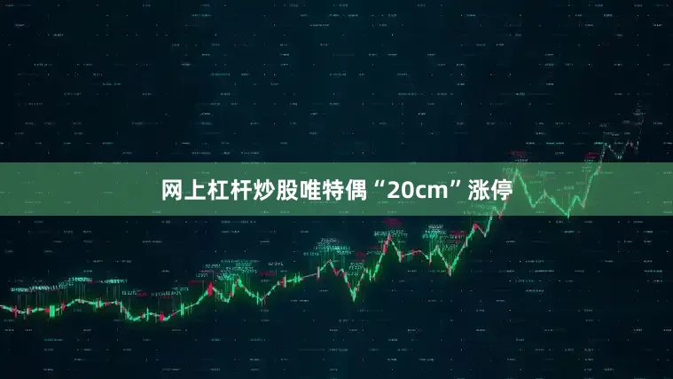 网上杠杆炒股唯特偶“20cm”涨停