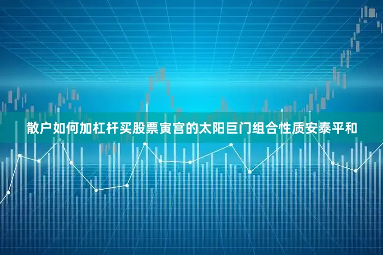 散户如何加杠杆买股票寅宫的太阳巨门组合性质安泰平和