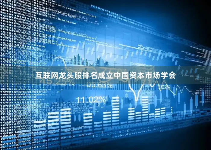 互联网龙头股排名成立中国资本市场学会