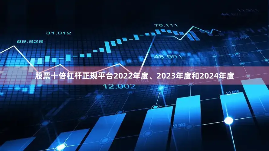 股票十倍杠杆正规平台2022年度、2023年度和2024年度