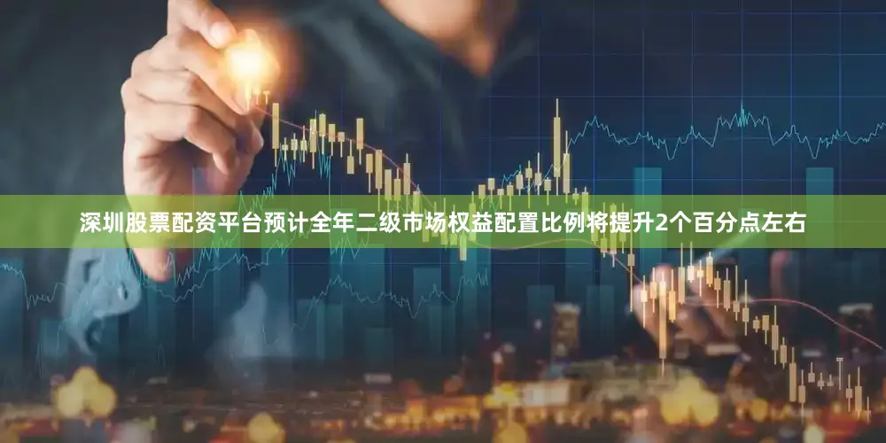 深圳股票配资平台预计全年二级市场权益配置比例将提升2个百分点左右