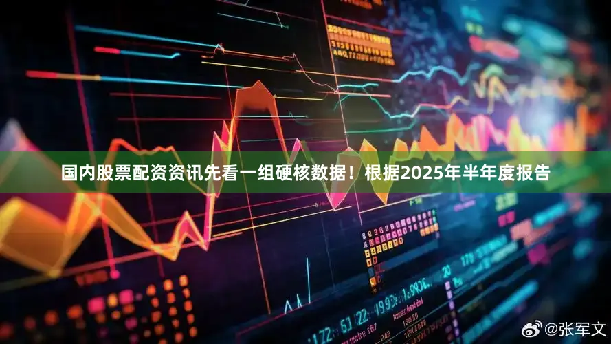 国内股票配资资讯　　先看一组硬核数据！　　根据2025年半年度报告