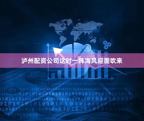 泸州配资公司这时一阵海风迎面吹来